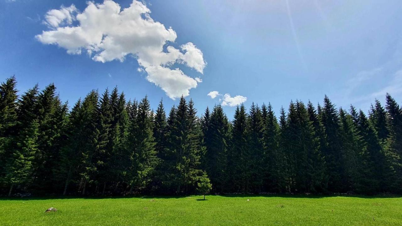 Rajska Suma Villa Žabljak Eksteriør bilde