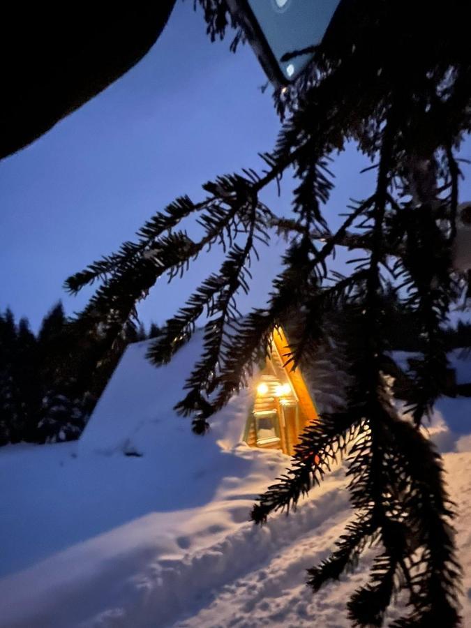 Rajska Suma Villa Žabljak Eksteriør bilde